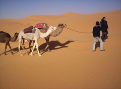 TIMIMOUN DECEMBRE 2004 N065
